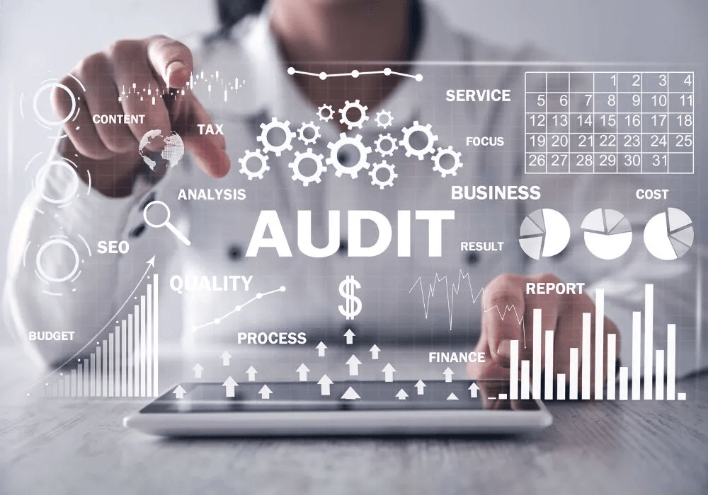 Audit and Assurance Services