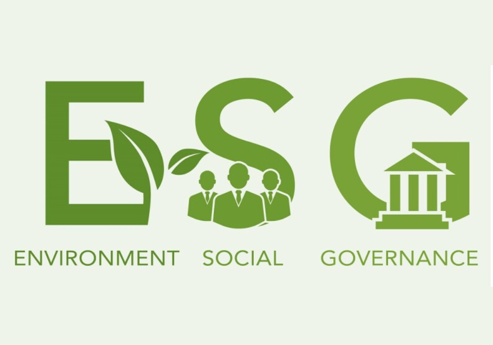 Sustainability & ESG Advisory